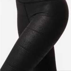Zyia Black Venom Light Tight